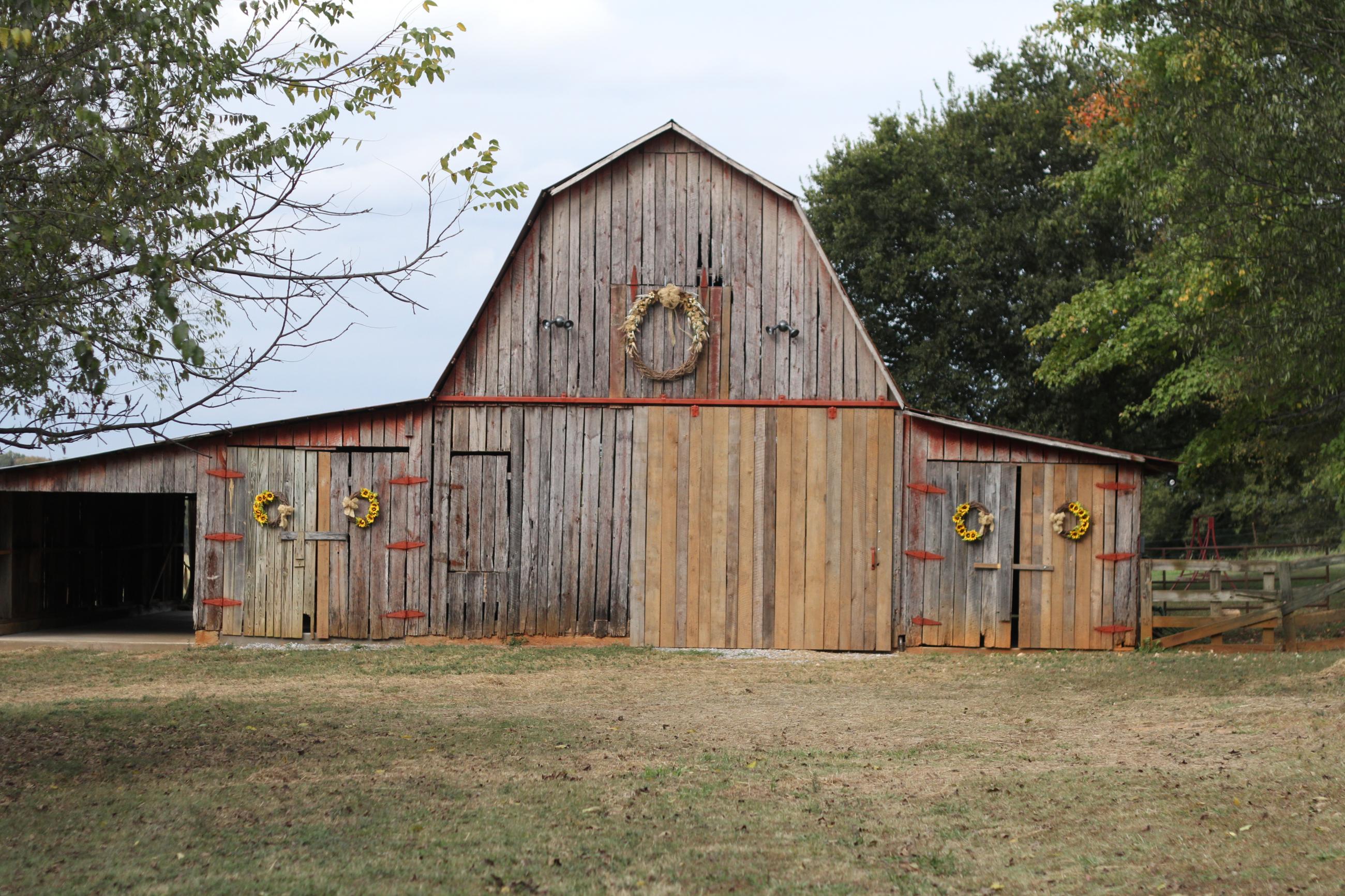 The Murphy Farm The Murphy Farm